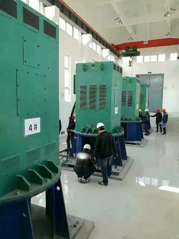 YKK5006-8某污水处理厂使用我厂的立式高压电机安装现场