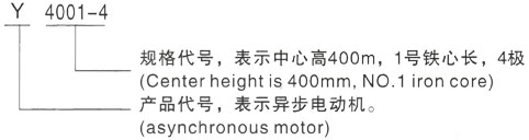 西安泰富西玛Y系列(H355-1000)高压YKK5006-8三相异步电机型号说明