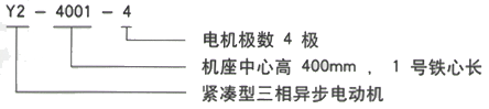 YR系列(H355-1000)高压YKK5006-8三相异步电机西安西玛电机型号说明